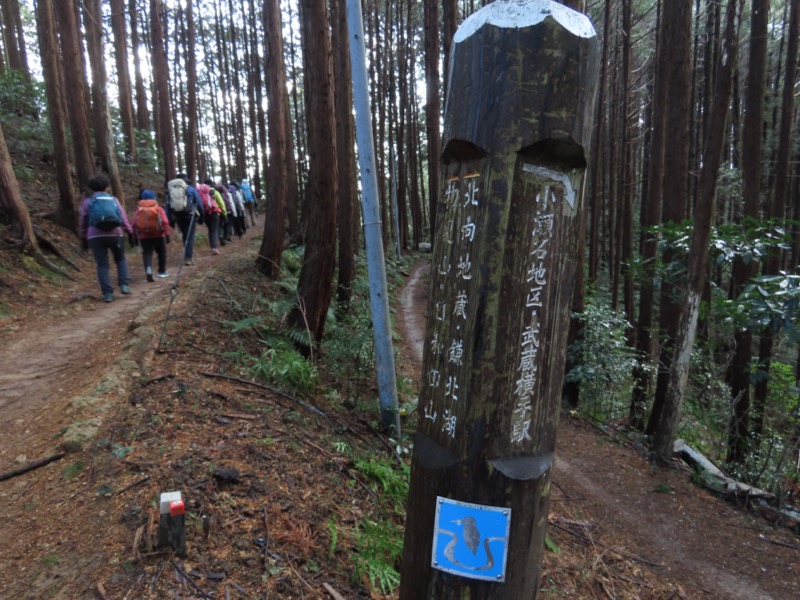 日和田山、物見山